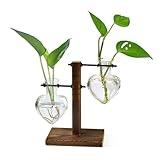 XXXFLOWER Plant Terrarium Wooden Stand, Hydroponic Planter Bulb Glass Metal Swivel Holder Retro Air Plants Water Plants for Home Office Decoration, Plant Lover Gifts - 2 Love Bulb Vase