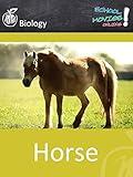 Horse - School Movie on Biology