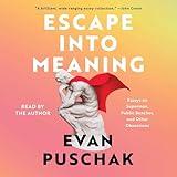 Escape into Meaning: Essays on Superman, Public Benches, and Other Obsessions