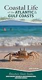 Coastal Life of the Atlantic and Gulf Coasts: Easily Identify Seashells, Beachcombing Finds, and Iconic Animals (Adventure Quick Guides)