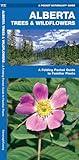 Alberta Trees & Wildflowers: A Folding Pocket Guide to Familiar Plants (Nature Observation North America)