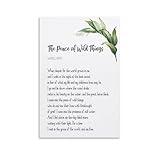 The Peace of Wild Things Poem by Wendell Berry When Despair for The World Grows in Meard I Wake in T Canvas Painting Posters And Prints Wall Art Pictures for Living Room Bedroom Decor 08x12inch(20x30