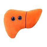 GIANTmicrobes Stuffed Liver Plush, Liver Stuffed Animal, Anatomical Liver, Hepatologist Gift, Liver Transplant Gifts, Hepatitis Gift, Hepatology Gift, Cirrhosis Gift, Liver Pillow, Liver Donor Gift