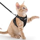 rabbitgoo Cat Harness and Leash for Walking, Escape Proof Soft Adjustable Vest Harnesses for Cats, Easy Control Breathable Reflective Strips Jacket, Black, XXS