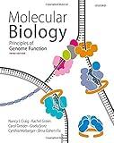 Molecular Biology: Principles of Genome Function