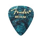 Fender Parts & Tools (1980351808)