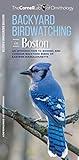 Backyard Birdwatching in Boston: An Introduction to Birding and Common Backyard Birds of Eastern Massachusetts (All About Birds)