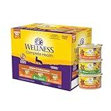 Wellness Complete Health Gravy & Minced Adult Wet Cat Food, Natural, Protein-Rich, Grain-Free, 3 Ounce , 24 Pack, (Chicken & Turkey Lovers Variety Pack)