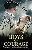 Boys of Courage: A WW2 Historical Novel, Based on a True Story of a Jewish Holocaust Survivor (Gripping World War 2 Resistance Stories)