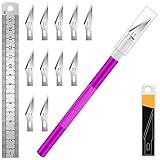 DIYSELF 1 Pcs Craft Hobby Knife Exacto Knife with 11 Pcs Stainless Steel Blade Kit, 1pcs Steel 15CM Ruler for Art, Scrapbooking, Stencil (Purple)