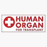 Human Organ for Transplant [Rx-Rb] Sticker Vinyl Bumper Sticker 6 Mil Thick - Size 5"