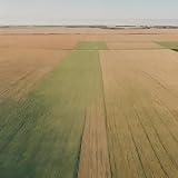 In Nature's Embrace We Find Solace to Thrive