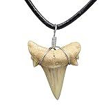 Natural Shark Tooth Necklace for Boys, Genuine Fossil Shark Teeth Jewelry for Men, Cool Beach Necklaces for Teen Girls, Beachy Surfer Necklace for Women (Black - Extra Small)