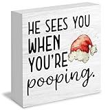 RUNMESS Funny Christmas Bathroom Wooden Box Signs, Christmas Bathroom Decorations, Funny Bathroom Decor, He Sees You When You're Pooping Wooden Signs for Bathroom Restroom Shelf Counter Decor, 5x5in