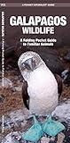 Galapagos Wildlife: A Folding Pocket Guide to Familiar Animals (Nature Observation International)