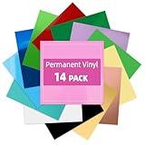 Lya Vinyl 14 Pack Glossy Permanent Vinyl Bundle - Self Adhesive Vinyl Sheets for Cricut, Permanent Outdoor Vinyl Sheets for Home Decal, Mug, Ceramics,DIY Craft