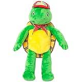 Mighty Mojo Franklin The Turtle Plush Doll - Based on The Popular Children’s Book - 14" Plush Toy Doll for Kids 3 Years and Up - Learn and Play with Your New Plush Friend