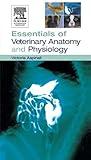 Essentials of Veterinary Anatomy & Physiology