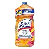 Lysol Power Clean Multi-Surface Cleaner, 2x Concentrated Pour, Mango & Hibiscus, 28 Fl Oz