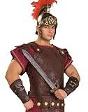 Rubies Mens Roman Body Armor Costume Accessory, Multi, One Size US