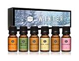 P&J Trading Fragrance Oil Winter Set | Cinnamon, Gingerbread, Sugar Cookies, Harvest Spice, Peppermint, and Christmas Wreath Candle Scents for Candle Making, Freshie Scents, Soap Making Supplies