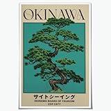 Retro Okinawa Sightseeing Travel Poster Japanese Canvas Wall Art Vintage Japan Tourism Board Print Wall Decor Aesthetic Minimalist Pictures Painting for Home Office 12x18inch Unframed