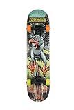 Tony Hawk 31" Skateboard - Signature Series 1 Skateboard with Pro Trucks, Full Grip Tape, 9-Ply Maple Deck, Ideal for All Experience Levels