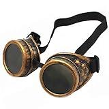 WEICHUAN Vintage Steampunk Goggles Mad Scientist Goggles Cosplay Steam Punk Glasses Accessory for Adult, Kids, Women, Men Halloween Costume(Purple Bronze)