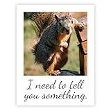 Moving Truths Articulate Squirrel Blank Inside Funny Greeting Card | I Need to Tell You Something Card | 4.25 x 5.5 Inches Folded