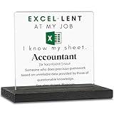 Accountant Gifts for Women, Thank You Gifts for Accountant, Funny Excel Gift for Accountant Appreciation Gifts, Accounting White Elephant Gifts Decor for Accounting Office Desk Shelf Cubicle ZBB78