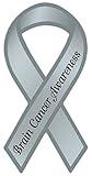 Ribbon Shaped Awareness Support Magnet - Brain Cancer - Cars, Trucks, Refrigerators