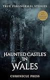 Haunted Castles in Wales: True Paranormal Stories