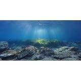 AWERT Ocean Floor Fish Tank Background Underwater Stone Aquarium Background 72x24 inches Vinyl
