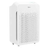 Winix Air Cleaner with PlasmaWave Technology (C545)