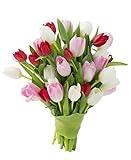 Blooms2Door PRIME NEXT DAY DELIVERY -Fall Collection - Combo Pack of Fresh Tulips of White, Red, and Pink 30 Count without vase.Gift for Birthday, Anniversary, Valentine, Mother’s Day Fresh Flowers