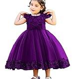 Girl Birthday Dress Party Wedding Dress for Girl 3D Floral Party Dress Flower Princess Dress Up Easter Tulle Baby Girl Ball Gawn Pageant Dress 9T 10T (2036DarkPurple 150)