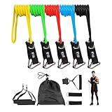 Fitvids Resistance Loop Bands Set - 5-Level Exercise Bands for Home Fitness, Physical Therapy & Strength Training (10-50lbs)