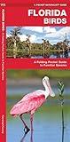 Florida Birds: A Folding Pocket Guide to Familiar Species (Nature Observation North America)