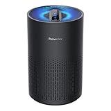 Air Purifiers for Bedroom, H13 True HEPA Filter for A11ergies, Pollen, Smoke, Dusts, Pets Dander, Odor, Hair, Ozone Free, 20db Quiet for Home, Room, Kitchen, SGS Certificaion - AC400 Black