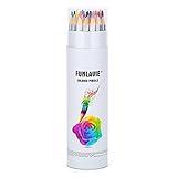 FUNLAVIE Colored Pencils 24 Coloring Pencils Premium Professional Art Drawing Pencil for Adults Coloring Book