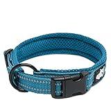 Truelove Dog Collar Reflective Premium Duraflex Buckle,High Grade Nylon Webbing No Choke Basic Collars TLC5011(Blue,S)