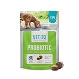 VetIQ Probiotic Supplement for Dogs, Digestive Support for Dogs, Nourishes Gut Bacteria and Supports Bowel Function, Hickory Smoke Flavor, Made in The USA, 60 Count