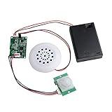 Stemedu MP3 Playback Kit Music Voice Recording Module DIY Welcomer Sound Recording Board with Speaker and PIR Infrared Sensor, Support USB Download and TF Card