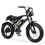 Qlife Electric Bike for Adults-1500W Peak Motor 20" Fat Tires 28MPH EBike, 624Wh Removable Battery Bicycle, with Dual Suspension & Brakes Motorcycle, 7-Speed,E Bike, Spark