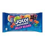 JollyRanchr Jelly Beans – 14 oz Bag, 5 Assorted Flavors: Strawberry Orange, Blue Raspberry, Grape, Watermelon & Apple| Fuity Jelly Beans Perfect For Easter Or Any Occasion