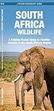 South Africa Wildlife: A Folding Pocket Guide to Familiar Animals in the South African Region (Nature Observation International)