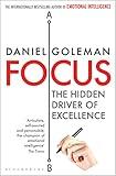 Focus: The Hidden Driver of Excellence