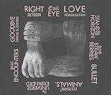 Right Thoughts, Right Words, Right Action