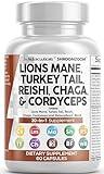 Clean Nutraceuticals Lions Mane 3000mg 20in1 Mushroom Supplement with Turkey Tail 2000mg Reishi 1000mg Cordyceps Chaga 1000mg Maitake Meshima Poria Cocos Shiitake Oyster Porcini Enoki 60 Count (1)