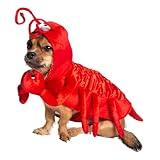 Pet Krewe Dog Lobster Costume | Medium Fish Pet Costume for Dogs 1st Birthday, National Cat Day & Celebrations | Halloween Outfit for Small, Medium, Large & XL Cats & Dogs